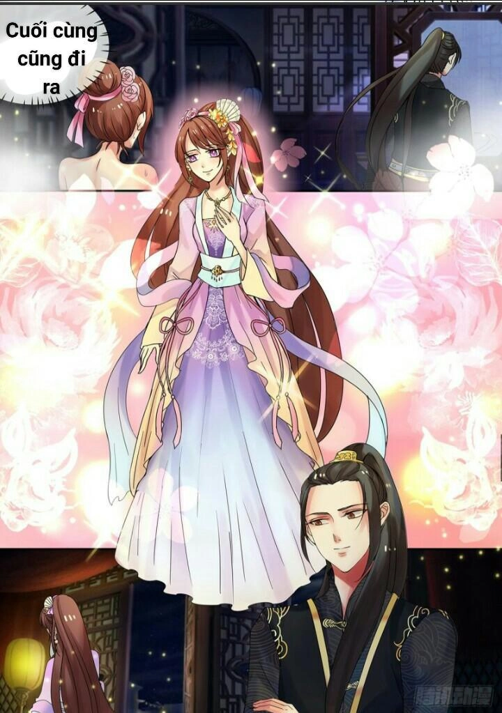 Thiên Tài Tiểu Độc Phi Chapter 16 - 4