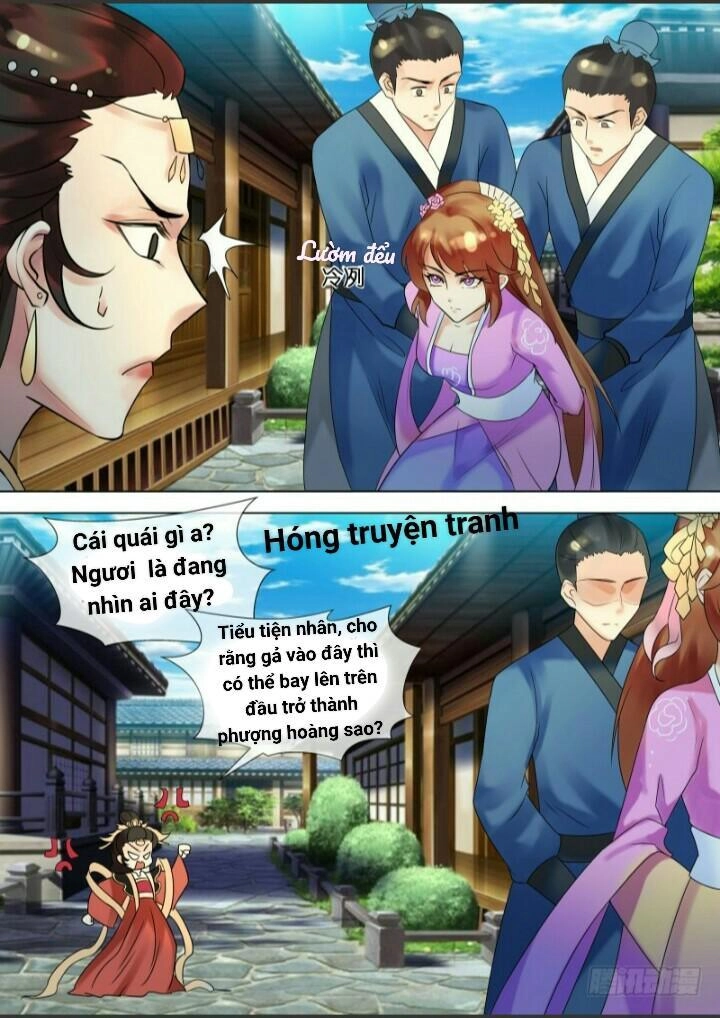 Thiên Tài Tiểu Độc Phi Chapter 31 - 11