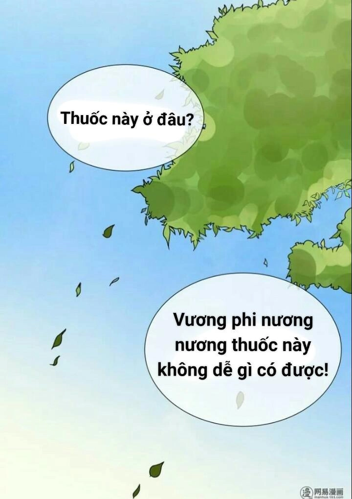Thiên Tài Tiểu Độc Phi Chapter 49 - 16