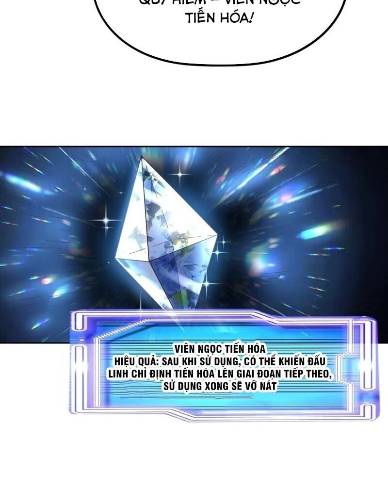 Trọng Sinh Đại Ngoạn Gia Chapter 170 - 10