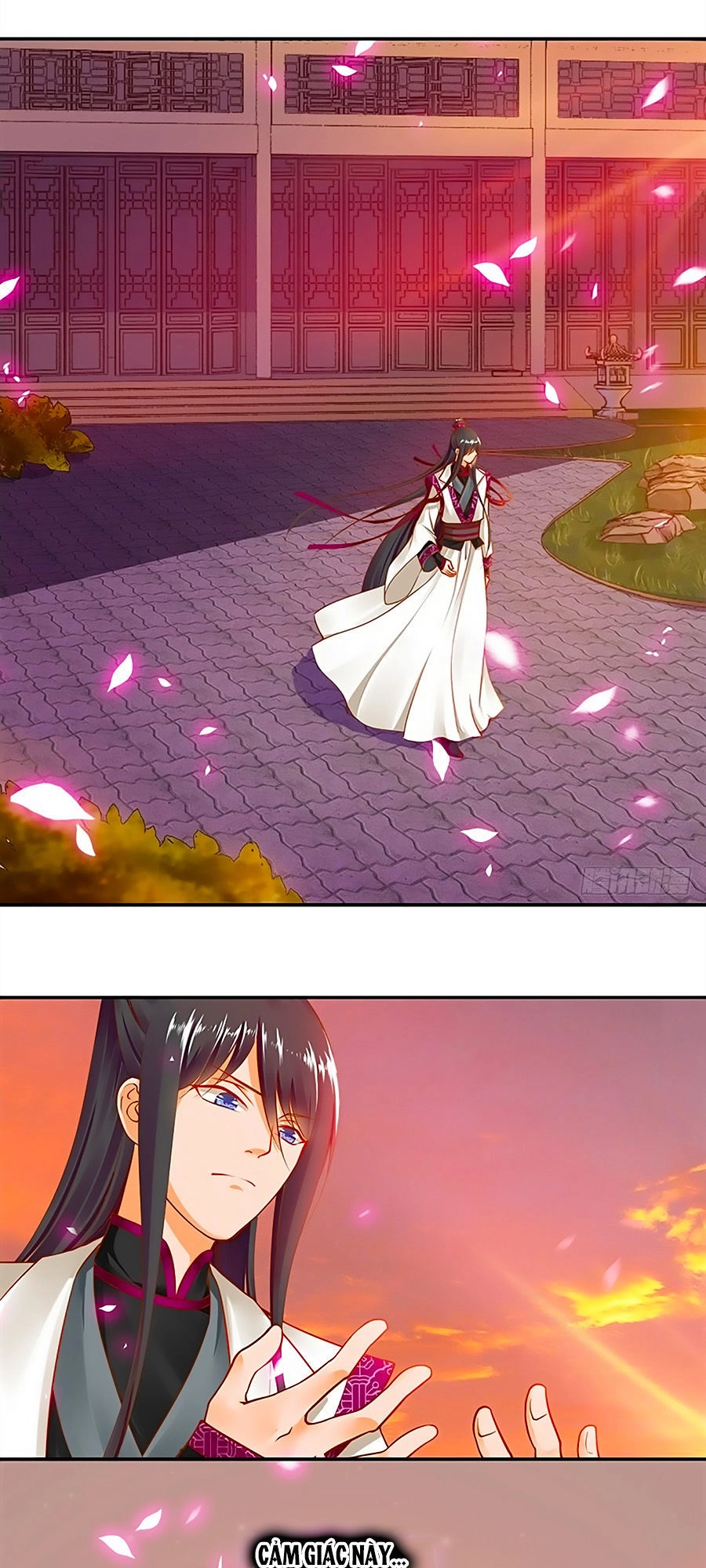 Xuyên Việt Vương Phi Yếu Thăng Cấp Chapter 13 - 5