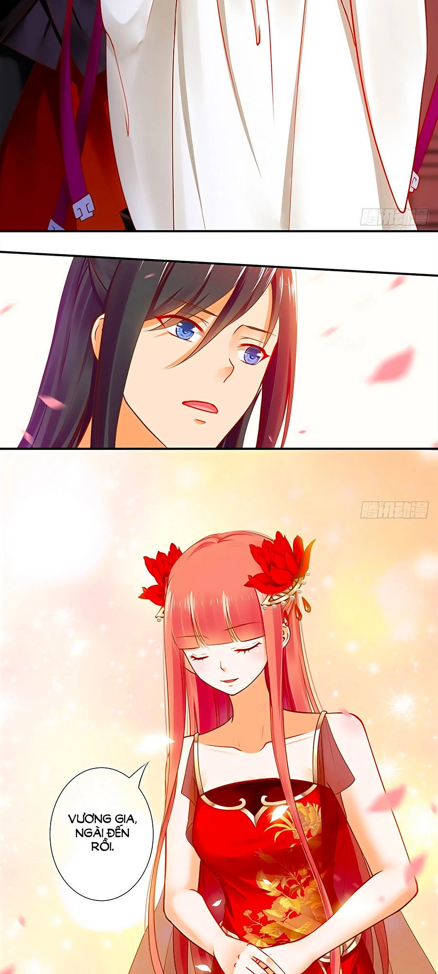 Xuyên Việt Vương Phi Yếu Thăng Cấp Chapter 14 - 12