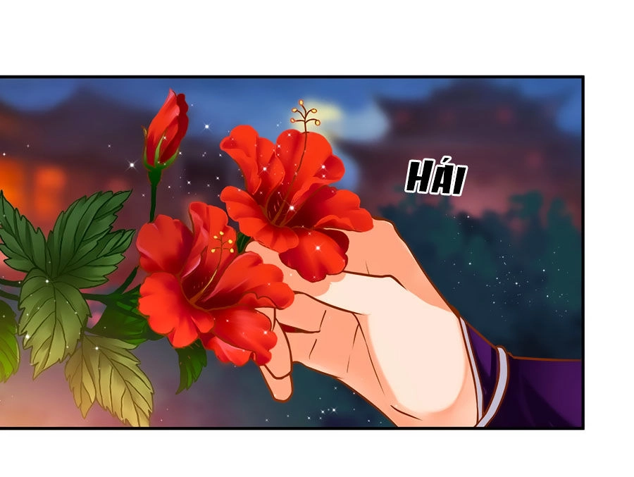 Xuyên Việt Vương Phi Yếu Thăng Cấp Chapter 46 - 10