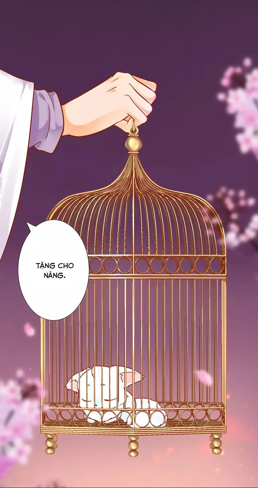 Xuyên Việt Vương Phi Yếu Thăng Cấp Chapter 60 - 12