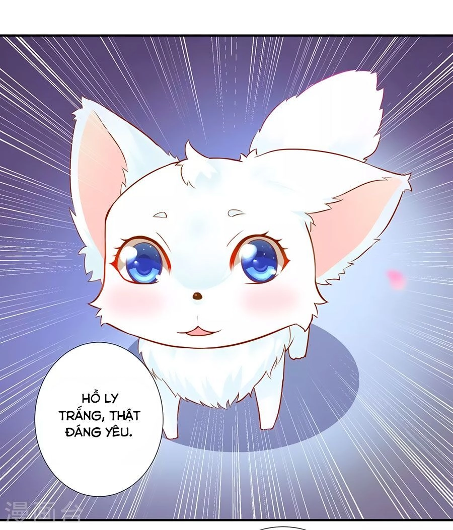 Xuyên Việt Vương Phi Yếu Thăng Cấp Chapter 60 - 14