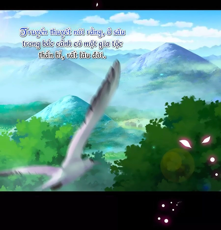 Xuyên Việt Vương Phi Yếu Thăng Cấp Chapter 68 - 19