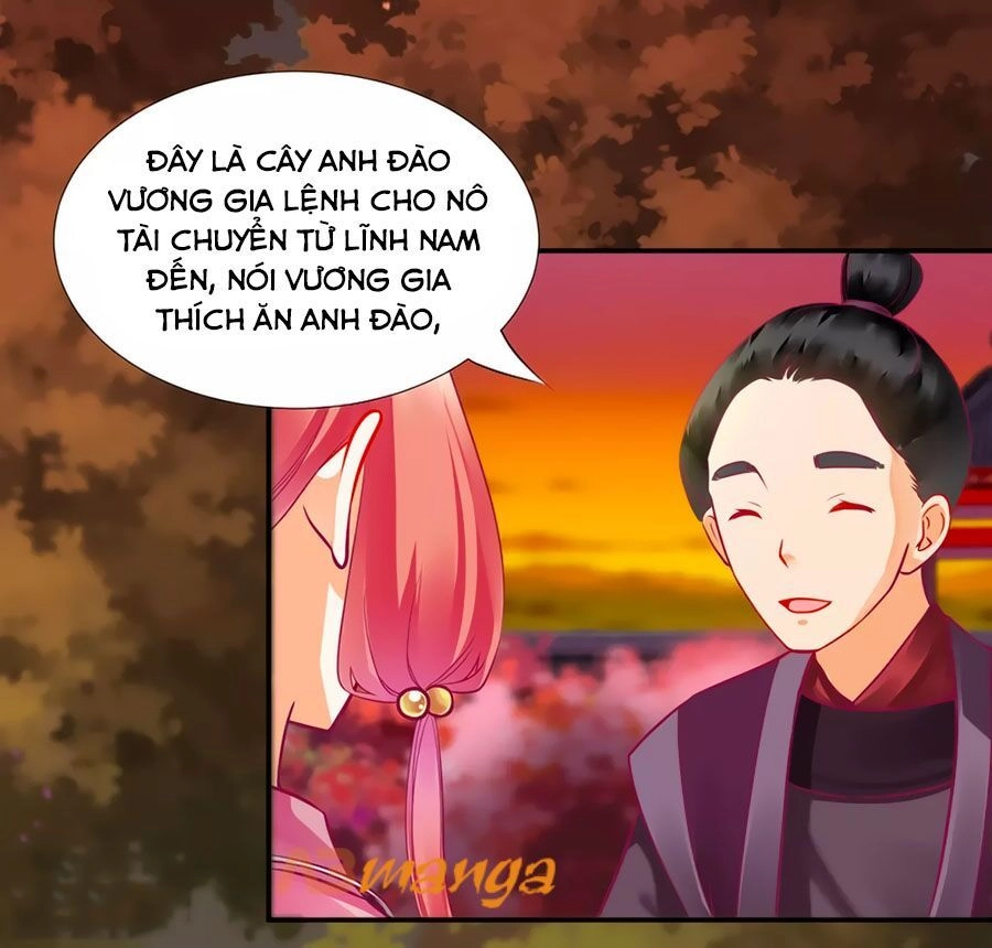 Xuyên Việt Vương Phi Yếu Thăng Cấp Chapter 74 - 22