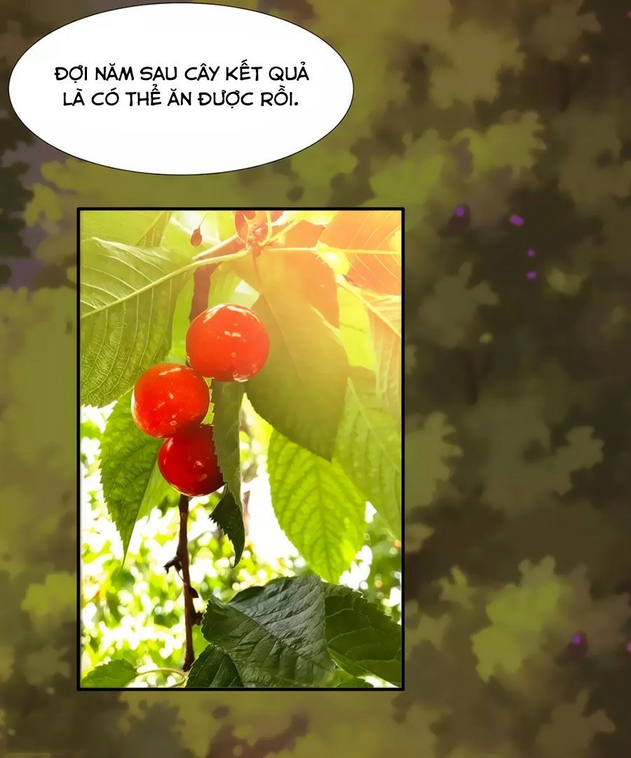 Xuyên Việt Vương Phi Yếu Thăng Cấp Chapter 74 - 23