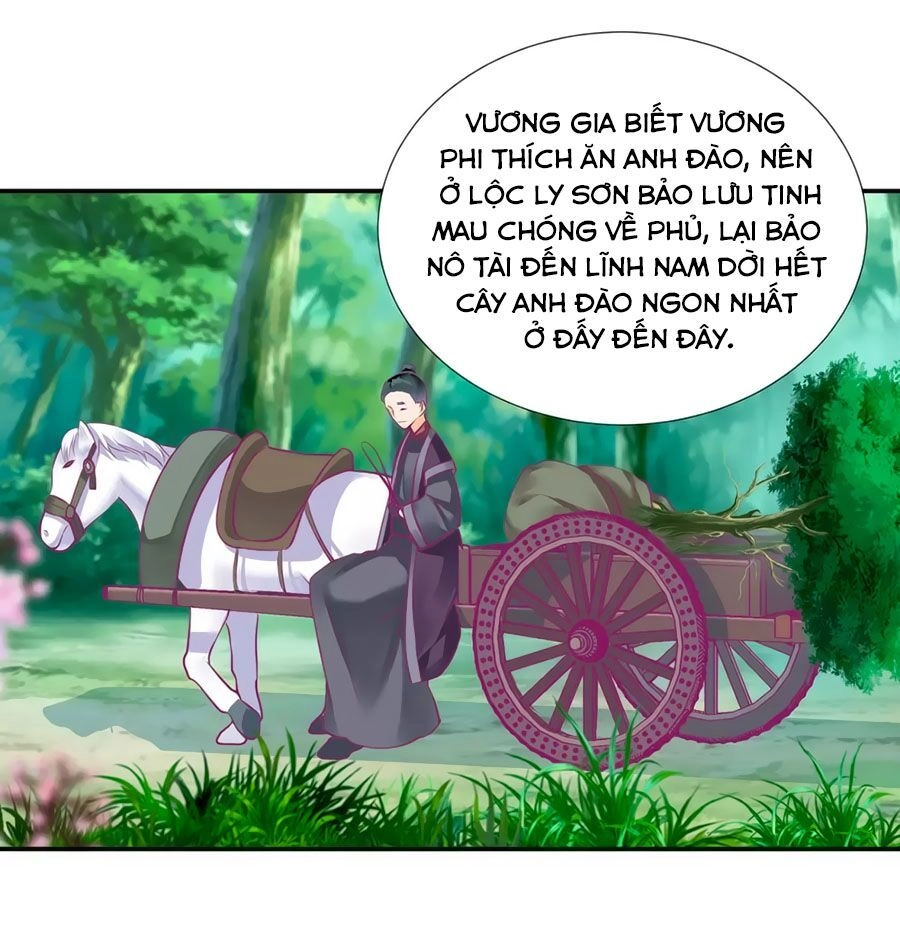 Xuyên Việt Vương Phi Yếu Thăng Cấp Chapter 74 - 31