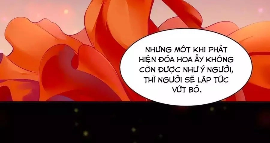 Xuyên Việt Vương Phi Yếu Thăng Cấp Chapter 87 - 16
