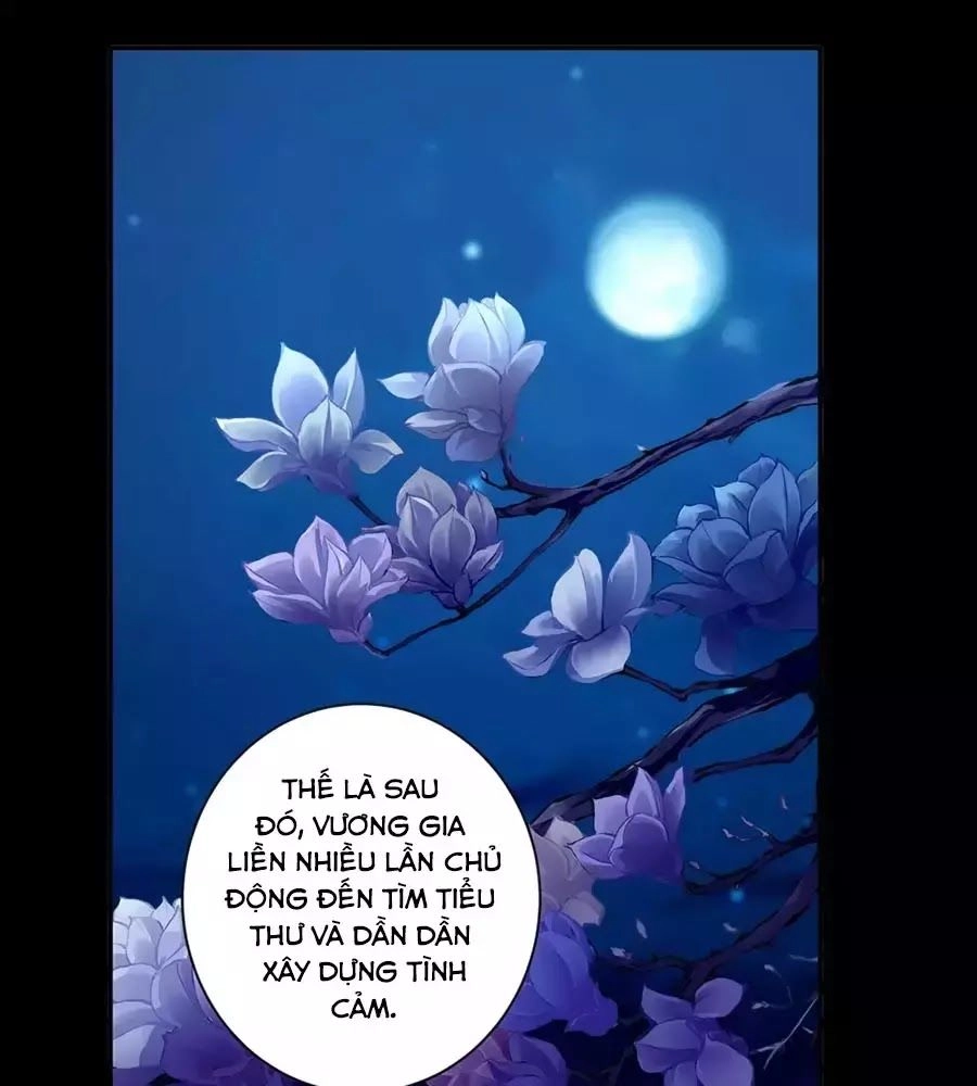 Xuyên Việt Vương Phi Yếu Thăng Cấp Chapter 94 - 24