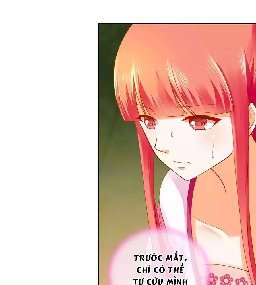 Xuyên Việt Vương Phi Yếu Thăng Cấp Chapter 99 - 50