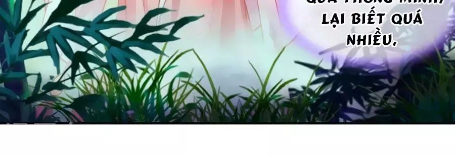 Xuyên Việt Vương Phi Yếu Thăng Cấp Chapter 100 - 24