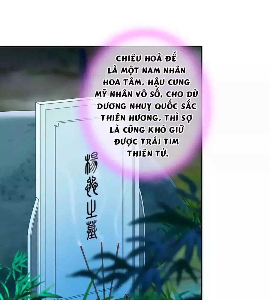 Xuyên Việt Vương Phi Yếu Thăng Cấp Chapter 101 - 29