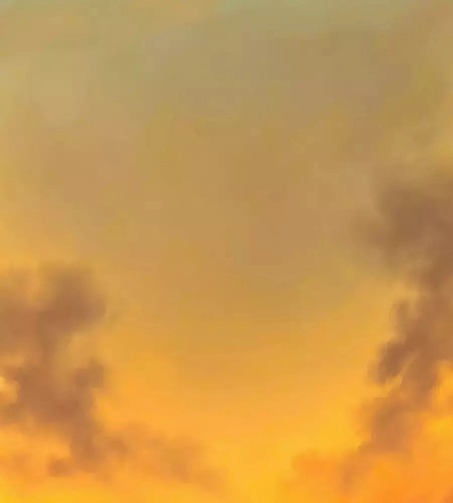 Xuyên Việt Vương Phi Yếu Thăng Cấp Chapter 105 - 24