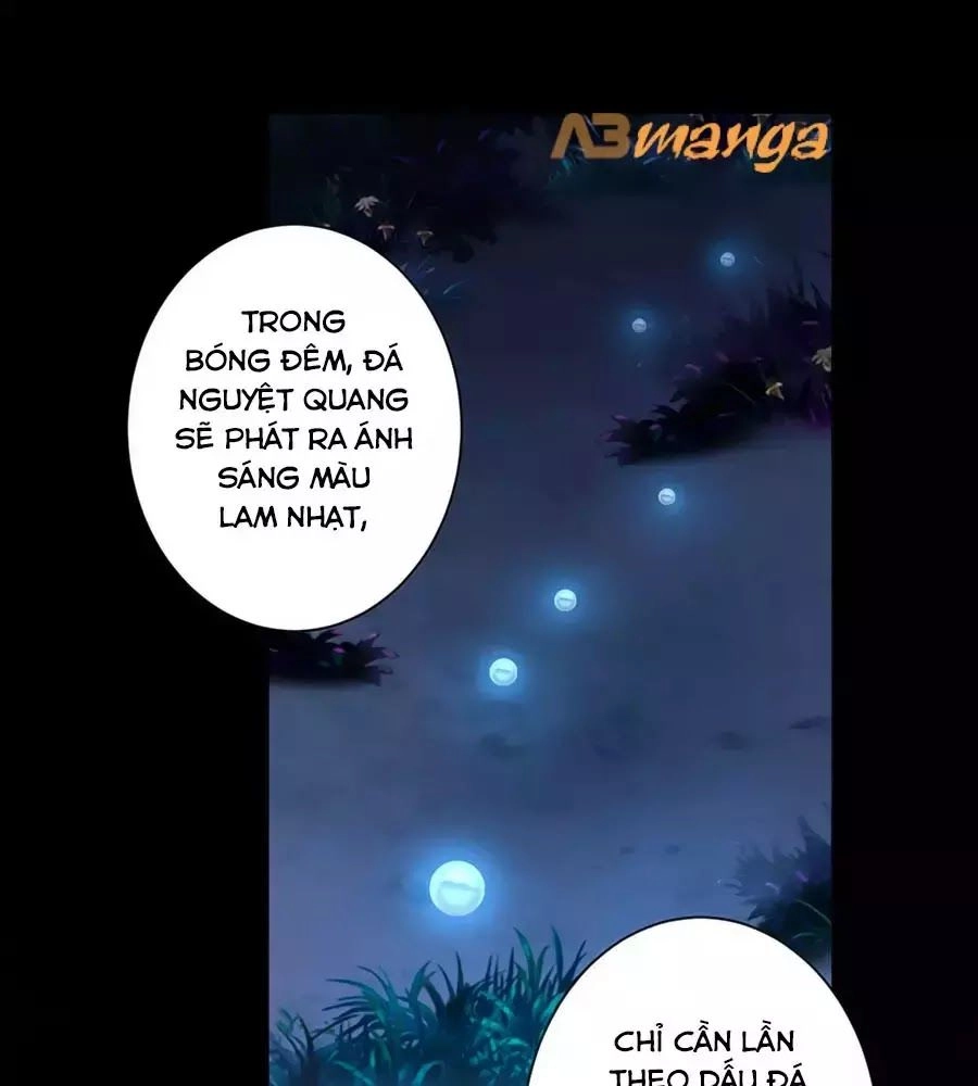 Xuyên Việt Vương Phi Yếu Thăng Cấp Chapter 112 - 11