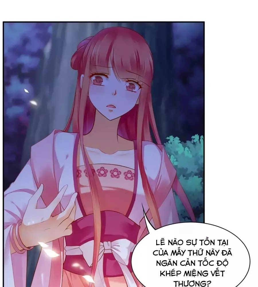 Xuyên Việt Vương Phi Yếu Thăng Cấp Chapter 113 - 61