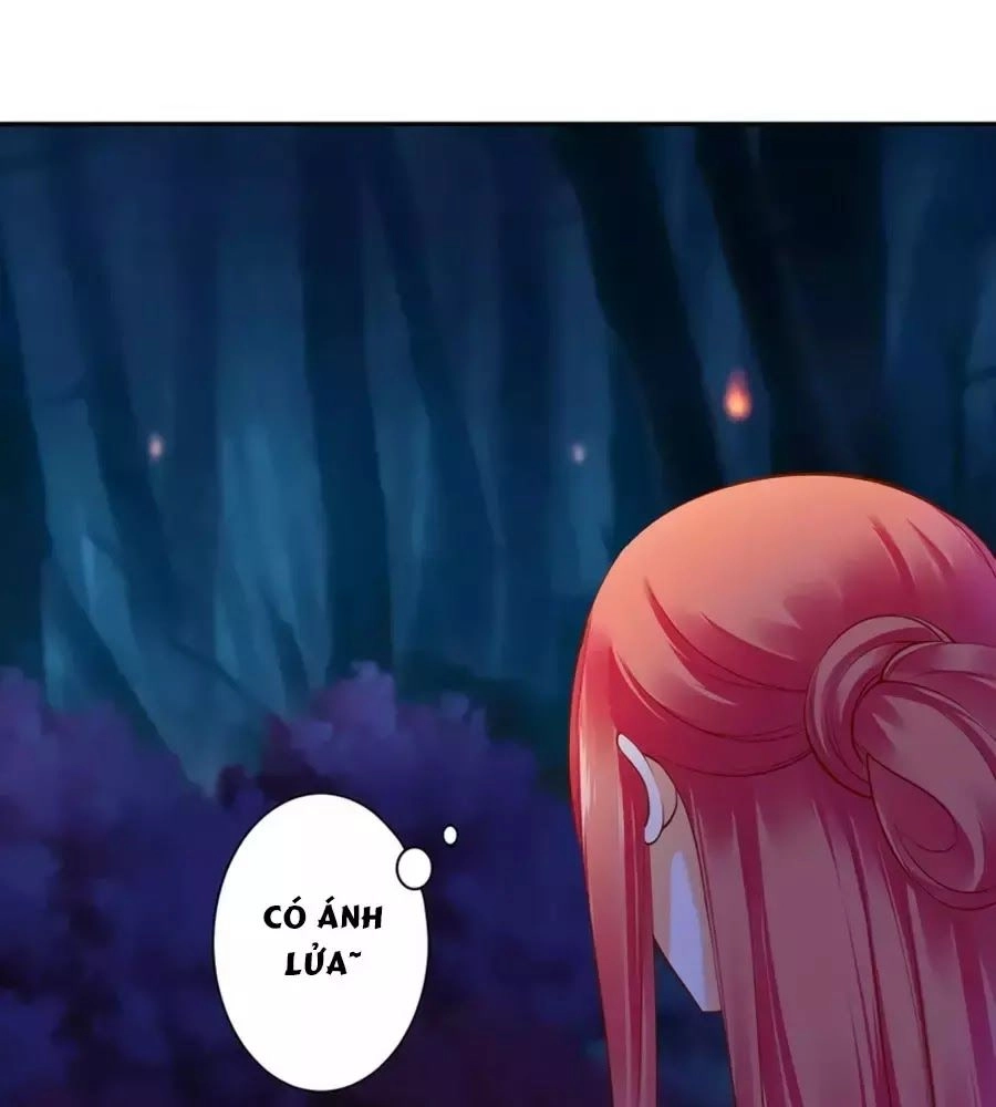 Xuyên Việt Vương Phi Yếu Thăng Cấp Chapter 117 - 29