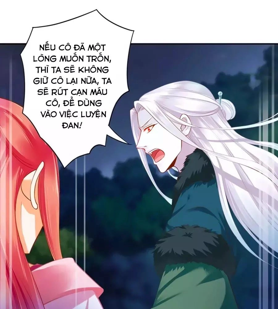 Xuyên Việt Vương Phi Yếu Thăng Cấp Chapter 117 - 45