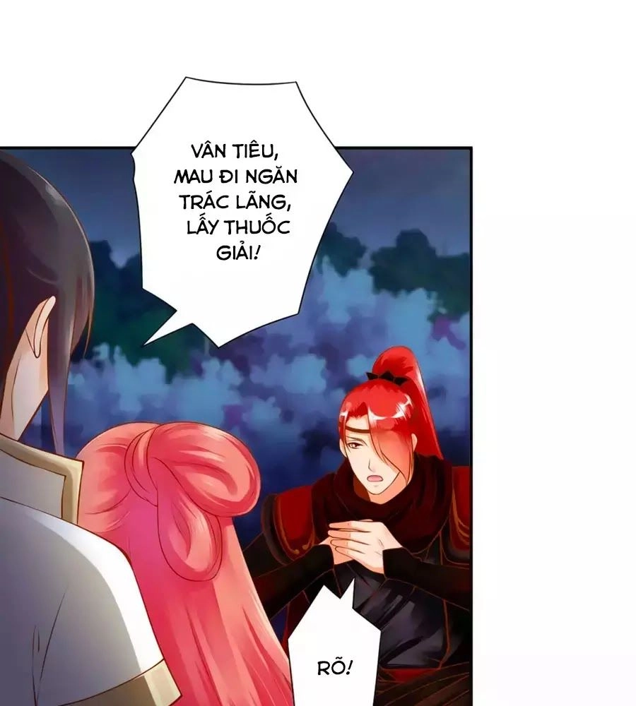 Xuyên Việt Vương Phi Yếu Thăng Cấp Chapter 120 - 11