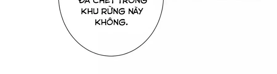 Xuyên Việt Vương Phi Yếu Thăng Cấp Chapter 120 - 19