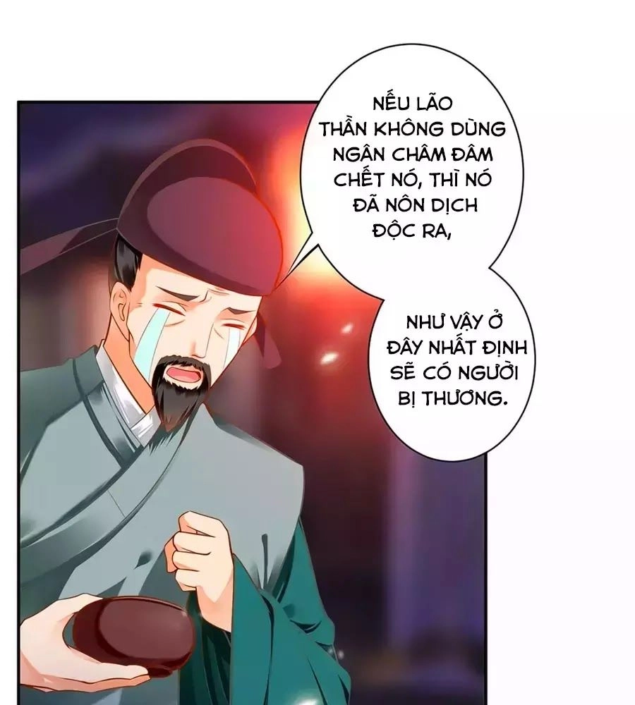 Xuyên Việt Vương Phi Yếu Thăng Cấp Chapter 124 - 24