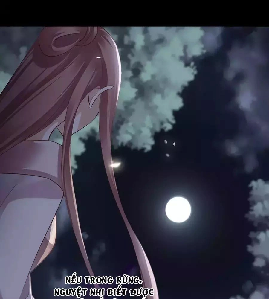 Xuyên Việt Vương Phi Yếu Thăng Cấp Chapter 126 - 24