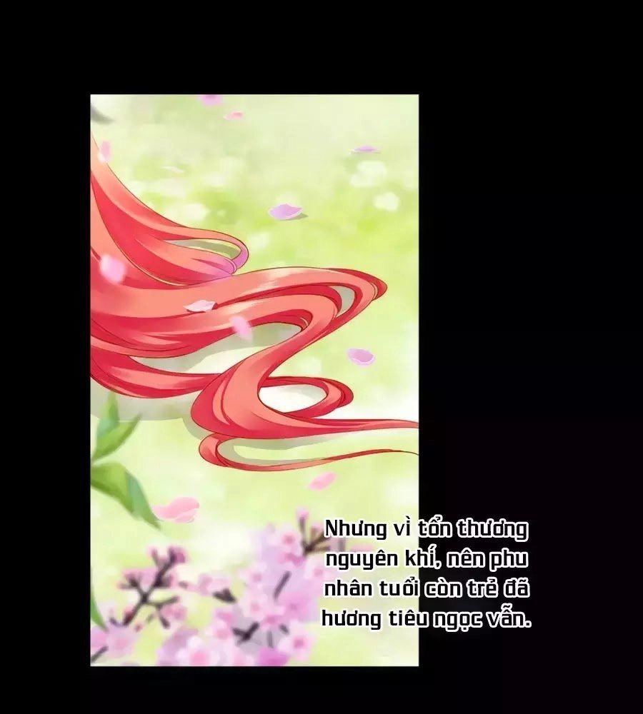 Xuyên Việt Vương Phi Yếu Thăng Cấp Chapter 127 - 11