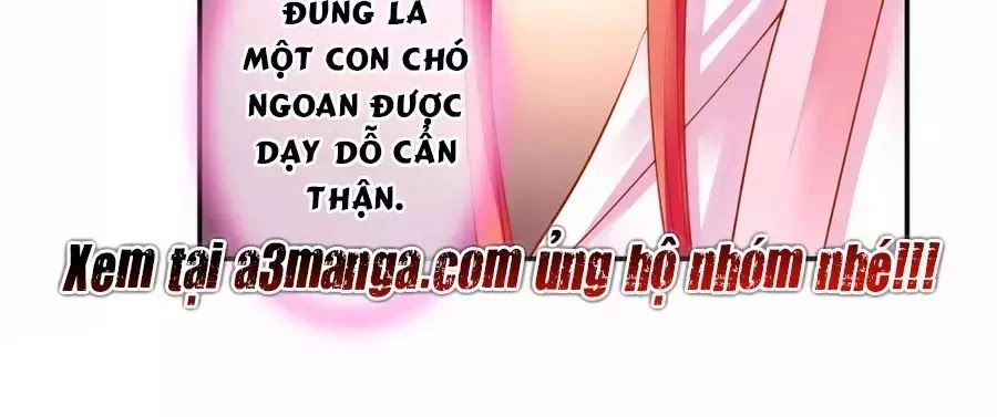 Xuyên Việt Vương Phi Yếu Thăng Cấp Chapter 128 - 25