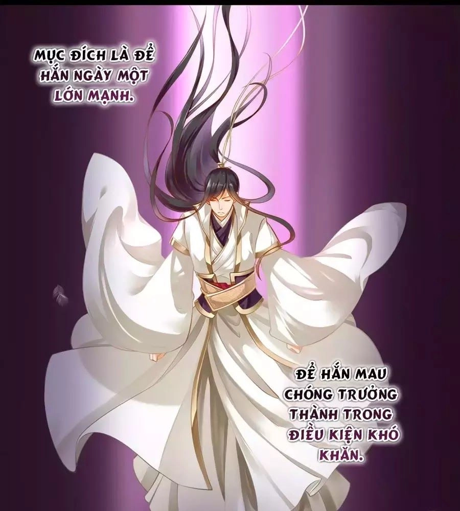 Xuyên Việt Vương Phi Yếu Thăng Cấp Chapter 131 - 30