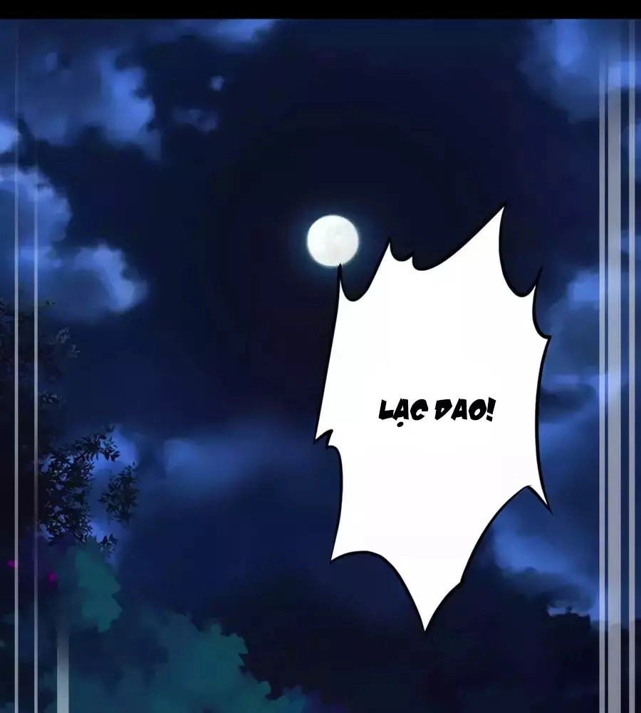 Xuyên Việt Vương Phi Yếu Thăng Cấp Chapter 134 - 16