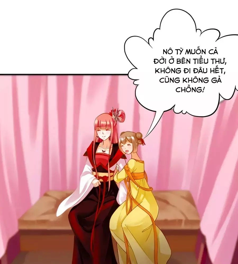 Xuyên Việt Vương Phi Yếu Thăng Cấp Chapter 134 - 41