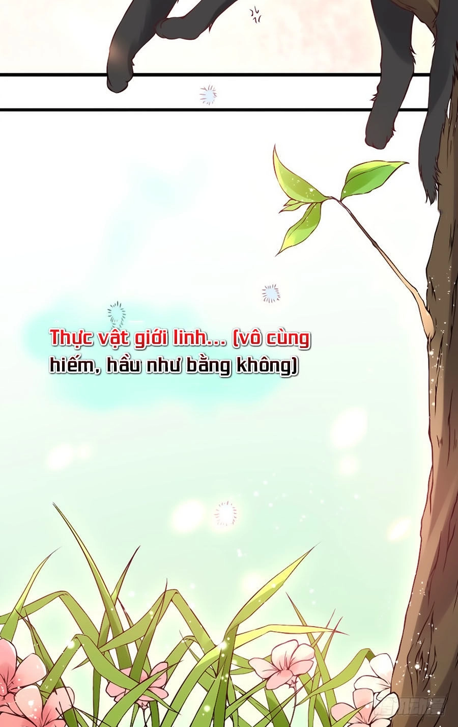 Tuyệt Thế Thần Y: Phúc Hắc Đại Tiểu Thư Chapter 2 - 44