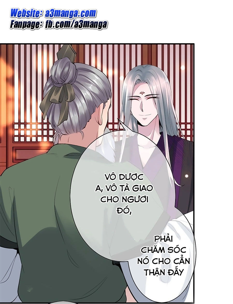 Tuyệt Thế Thần Y: Phúc Hắc Đại Tiểu Thư Chapter 3 - 2