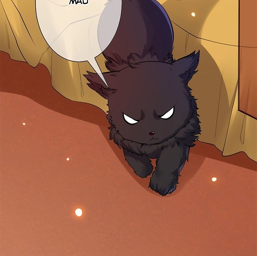 Tuyệt Thế Thần Y: Phúc Hắc Đại Tiểu Thư Chapter 3 - 6