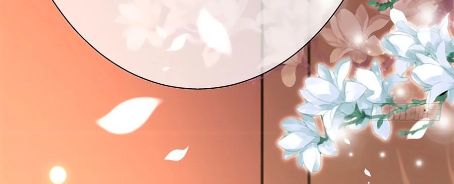 Tuyệt Thế Thần Y: Phúc Hắc Đại Tiểu Thư Chapter 3 - 41