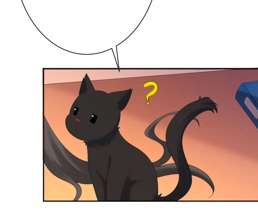 Tuyệt Thế Thần Y: Phúc Hắc Đại Tiểu Thư Chapter 6 - 19