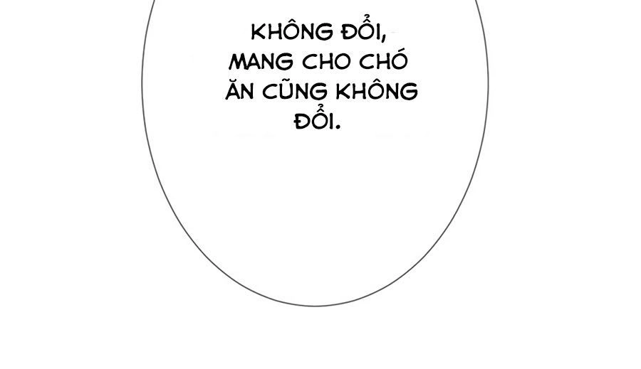 Tuyệt Thế Thần Y: Phúc Hắc Đại Tiểu Thư Chapter 11.2 - 16