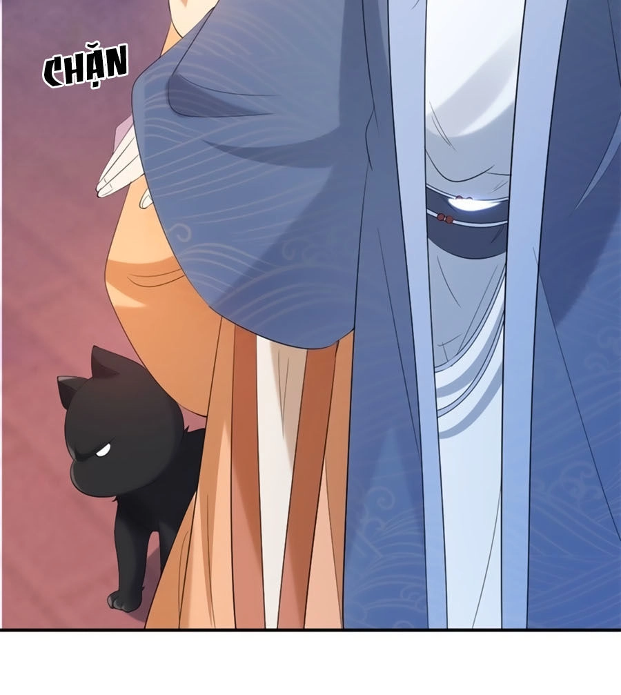 Tuyệt Thế Thần Y: Phúc Hắc Đại Tiểu Thư Chapter 14 - 14