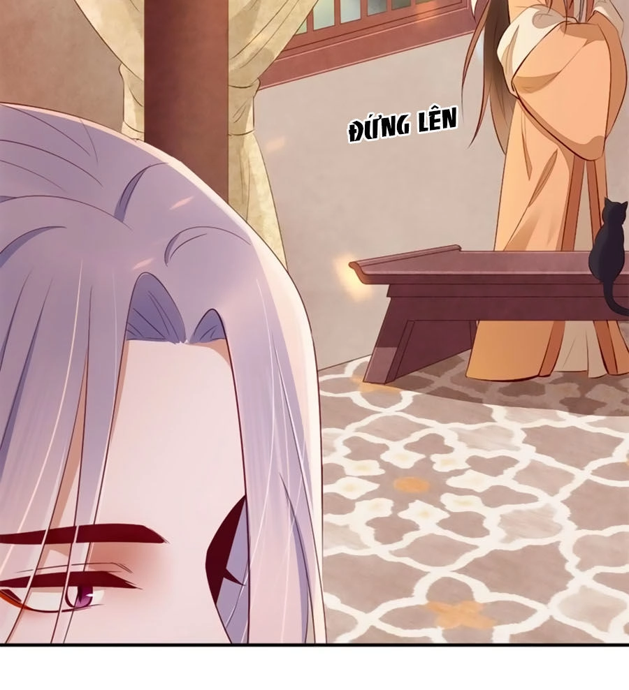 Tuyệt Thế Thần Y: Phúc Hắc Đại Tiểu Thư Chapter 17 - 4