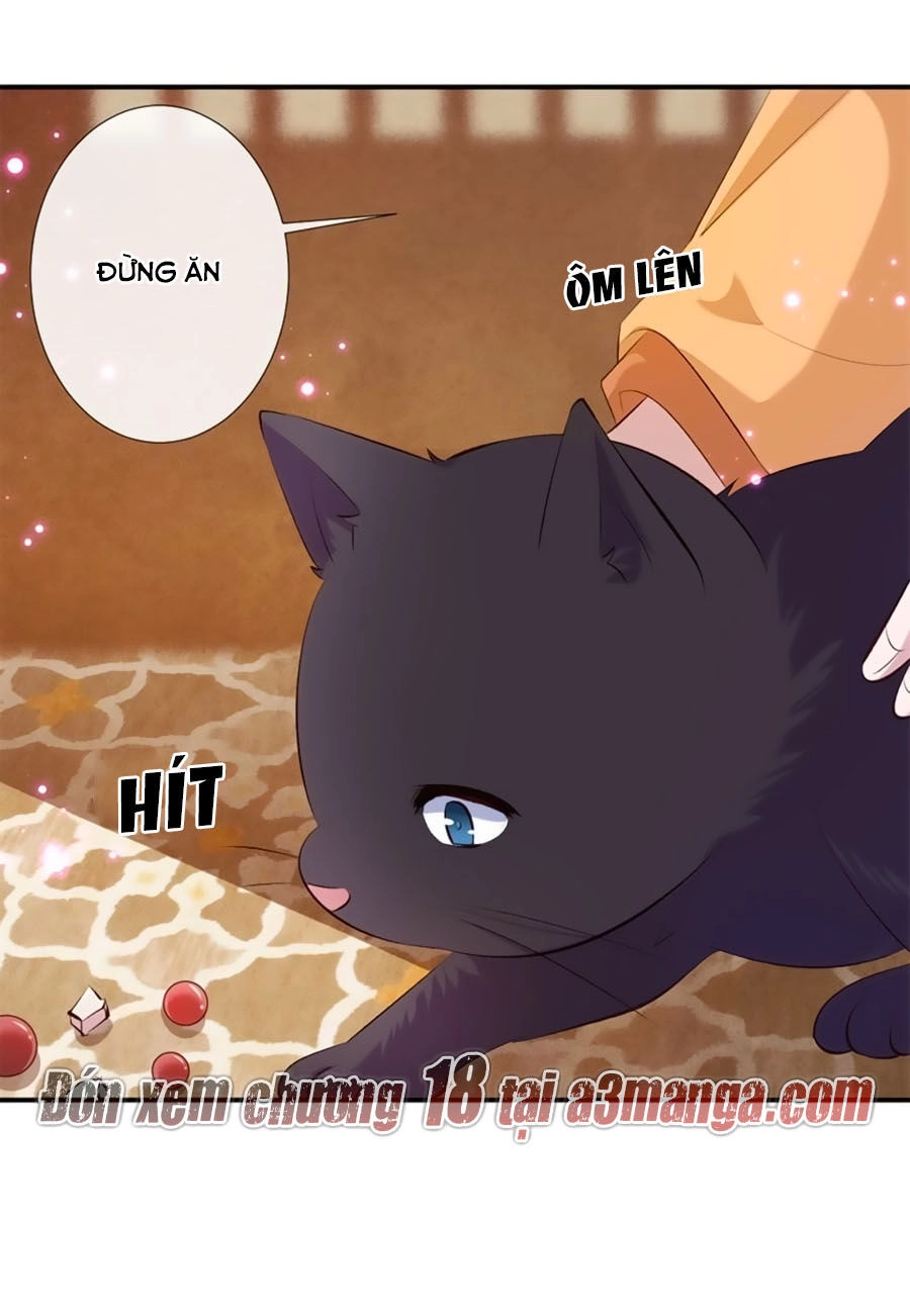 Tuyệt Thế Thần Y: Phúc Hắc Đại Tiểu Thư Chapter 17 - 31