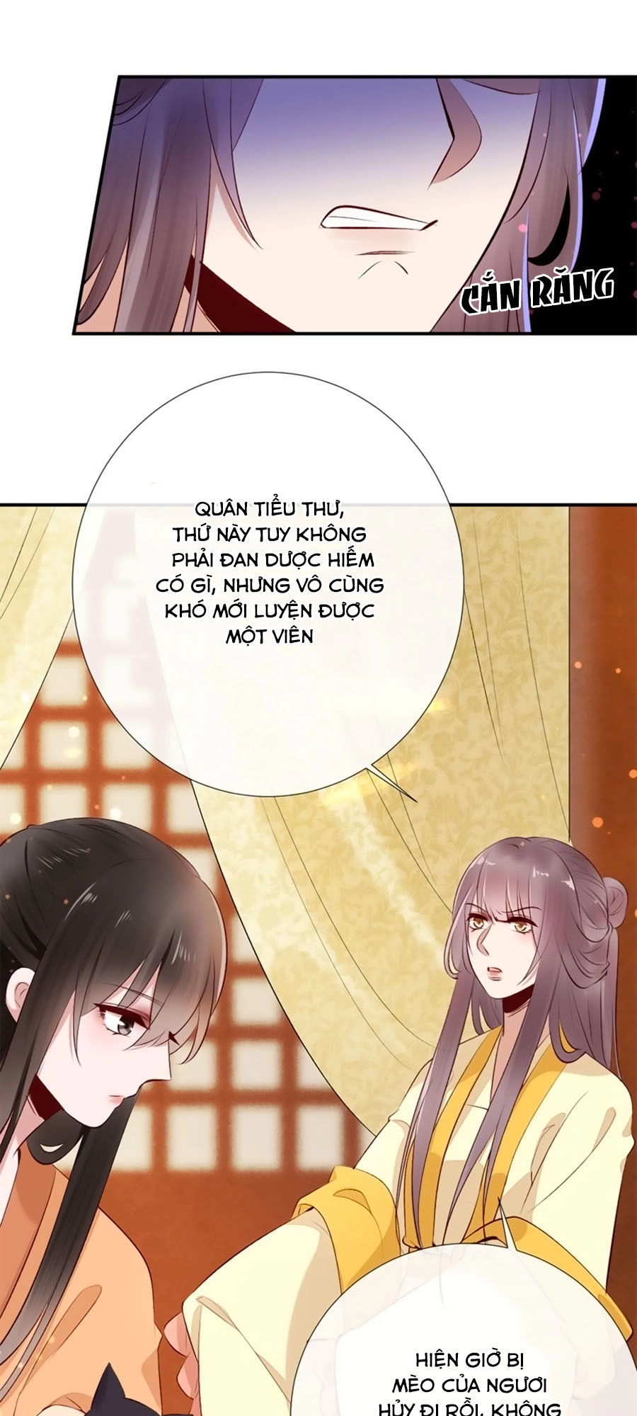 Tuyệt Thế Thần Y: Phúc Hắc Đại Tiểu Thư Chapter 17 - 35