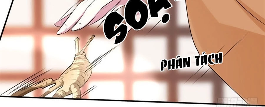 Tuyệt Thế Thần Y: Phúc Hắc Đại Tiểu Thư Chapter 18 - 2