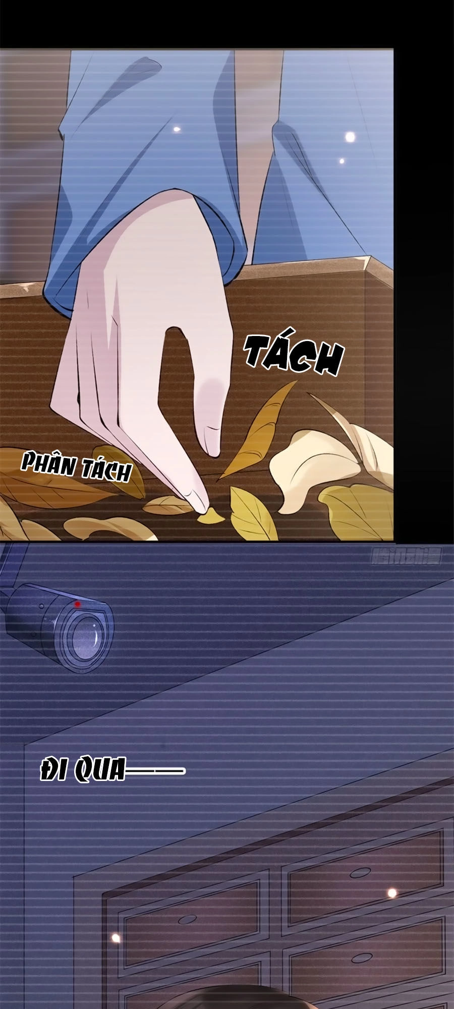 Tuyệt Thế Thần Y: Phúc Hắc Đại Tiểu Thư Chapter 18 - 7