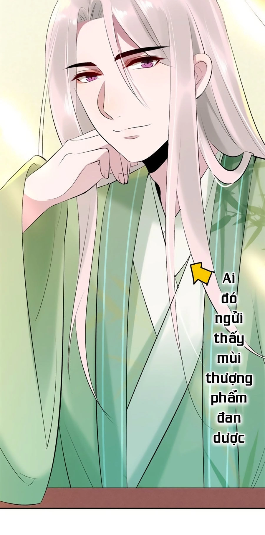 Tuyệt Thế Thần Y: Phúc Hắc Đại Tiểu Thư Chapter 18 - 30