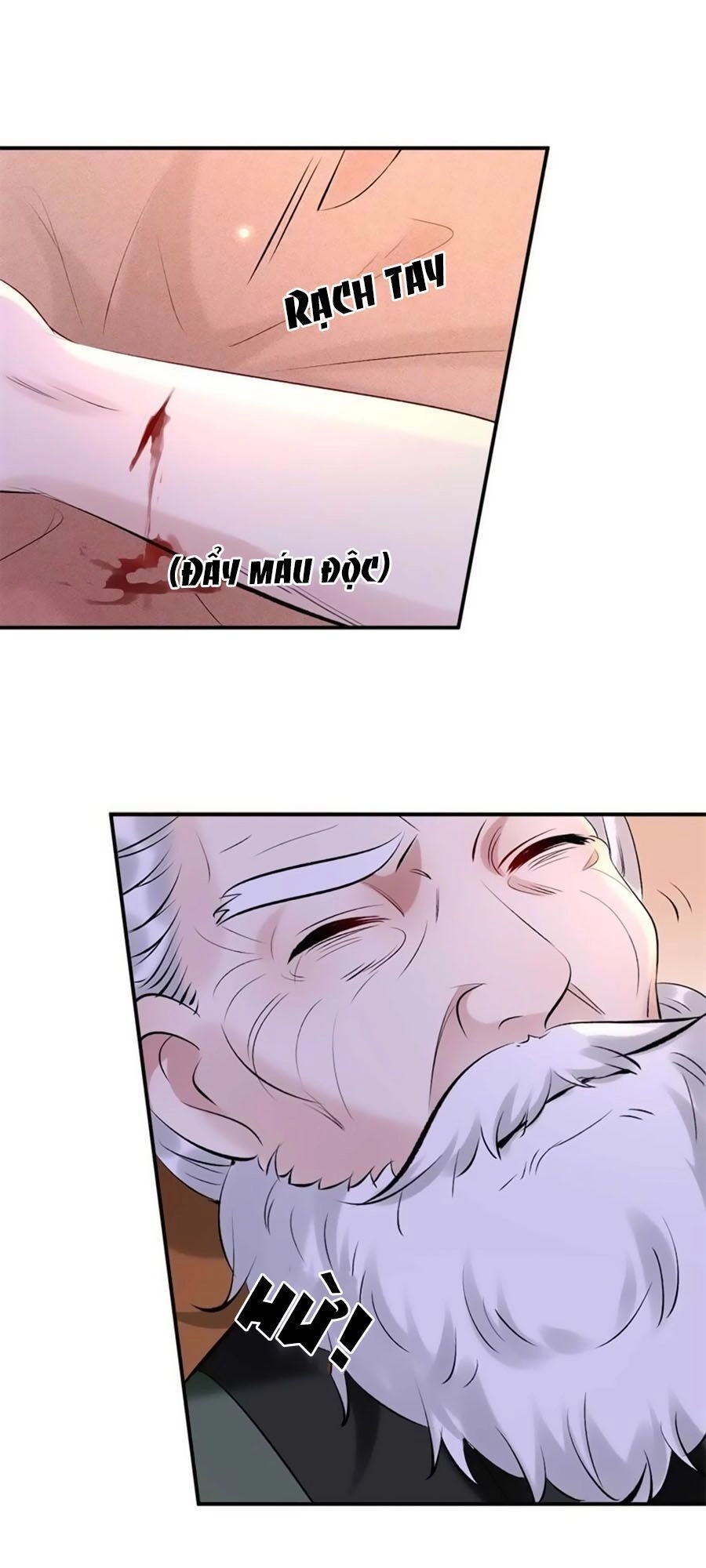 Tuyệt Thế Thần Y: Phúc Hắc Đại Tiểu Thư Chapter 26 - 12