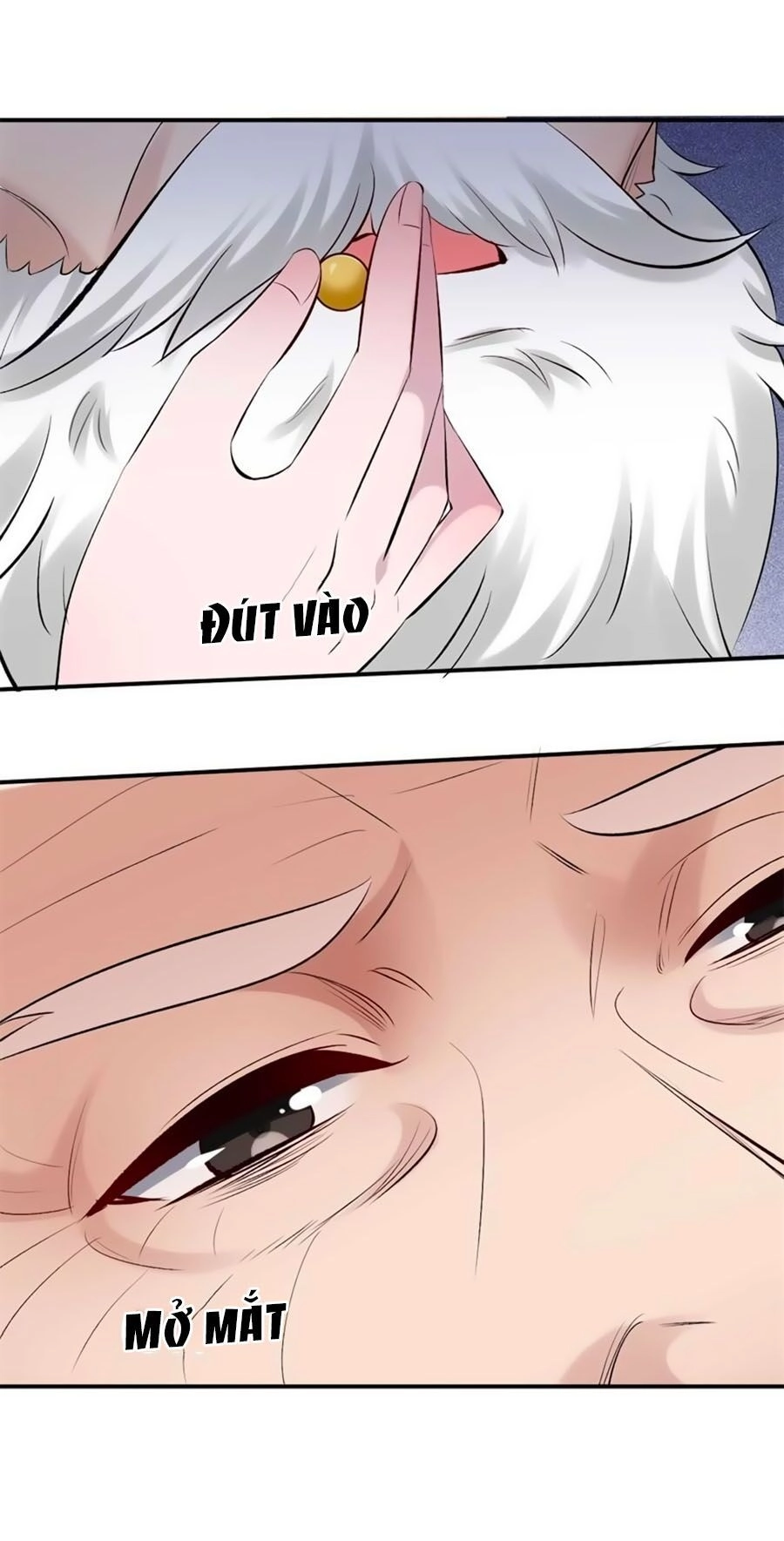 Tuyệt Thế Thần Y: Phúc Hắc Đại Tiểu Thư Chapter 26 - 15