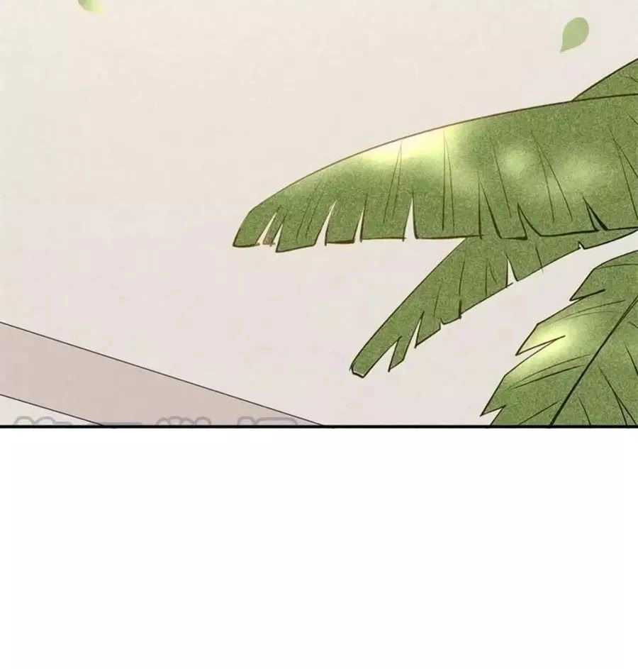 Tuyệt Thế Thần Y: Phúc Hắc Đại Tiểu Thư Chapter 29 - 16