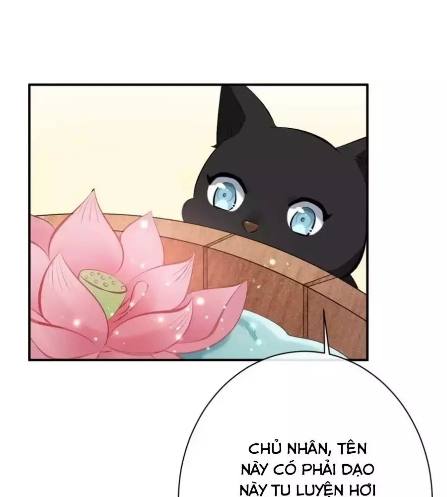 Tuyệt Thế Thần Y: Phúc Hắc Đại Tiểu Thư Chapter 29 - 17