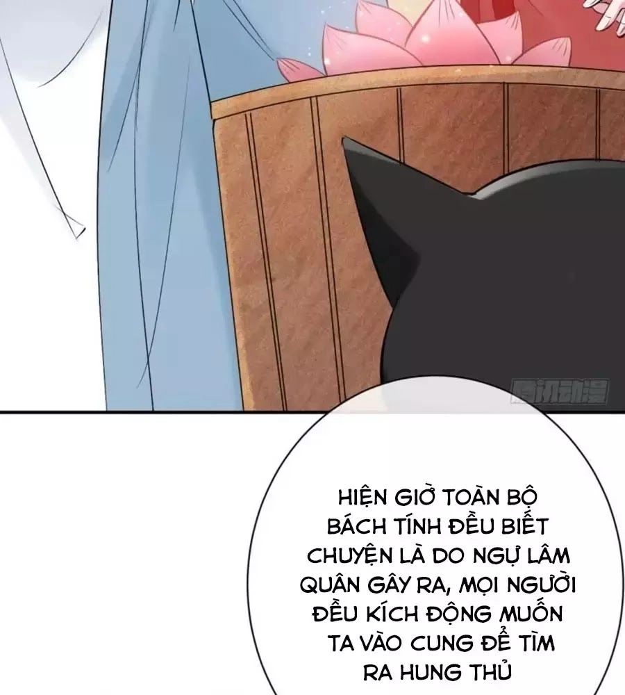 Tuyệt Thế Thần Y: Phúc Hắc Đại Tiểu Thư Chapter 29 - 23